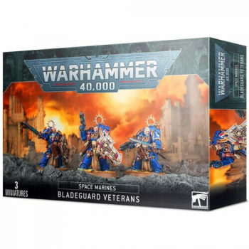 5011921138630 Figurine Warhammer Space Marines Veterans Bladeguard -